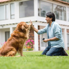 Anti Barking Device | Ultrasonic Stop Dog Barking Device