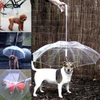 Transparent Dog Umbrella