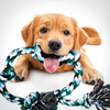 Indestructible 6 Knot Dog Rope Toy