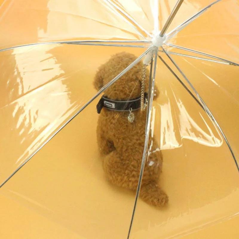 Transparent Dog Umbrella