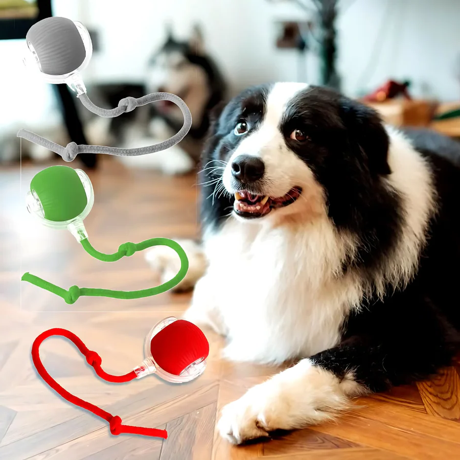 Smart Interactive Pet Ball Toy