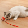 Smart Interactive Pet Ball Toy
