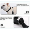 Dog Suspender Boots with Full Coverage and Non-Slip Sole
