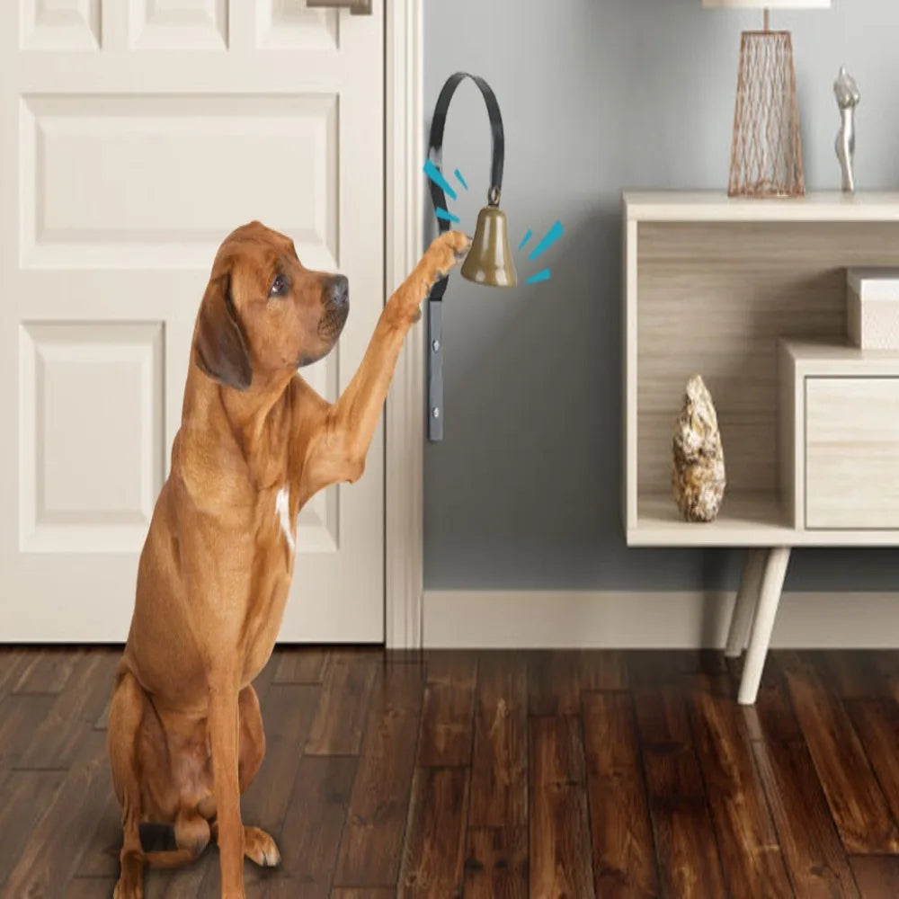 Dog Doorbell for Potty Training