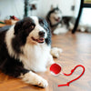 Smart Interactive Dog and Cat Ball – Rechargeable Pet Toy for Endless Fun